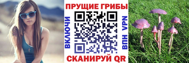Псилоцибиновые грибы ЛСД  МЕГА сайт  Моршанск  как найти наркотики 